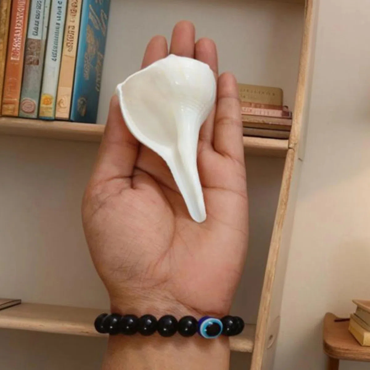 Abhimantrit Dakshinavarti Shankh Natural White Valampuri Sangu Pooja Shank 3"inch ~ Right Hand Dakshinavarti Lakshmi Shankh Rare Conch Shell for Puja Pooja Diwali Home Decor Gift Valampuri Jal Sangu