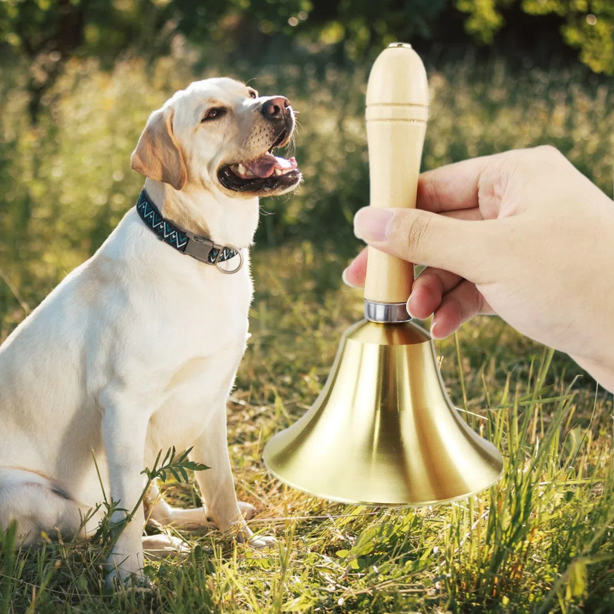 Goldene Handglocke Extra Laut Massiv mit Holzgriff, 11cm Groß Messing Rufglocke Schulhandglocken Meditationsschlitten Dekorative Schreibtischglocken für Schule, Kirche, Hotel, Weihnachten und