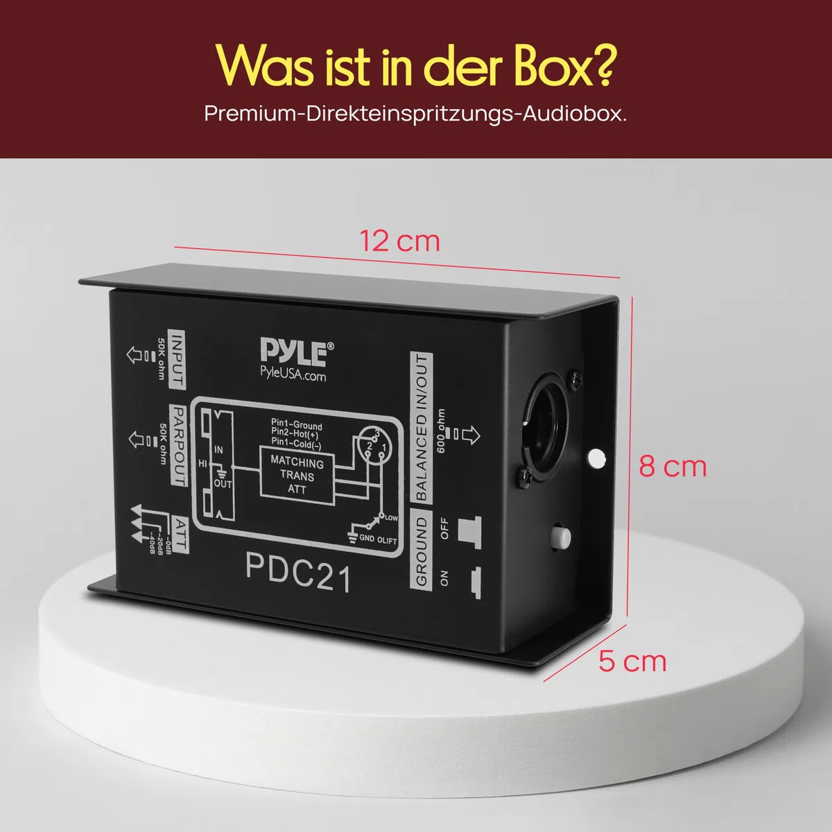Pyle Passive DI Box mit Ground Lift, Direct Injection Box Gitarre, Bass & Keyboard, 6,3 mm Klinke, Störungsfreie Signalübertragung, Brumm-Unterdrückung, Robustes Metallgehäuse für Bühne & Studio