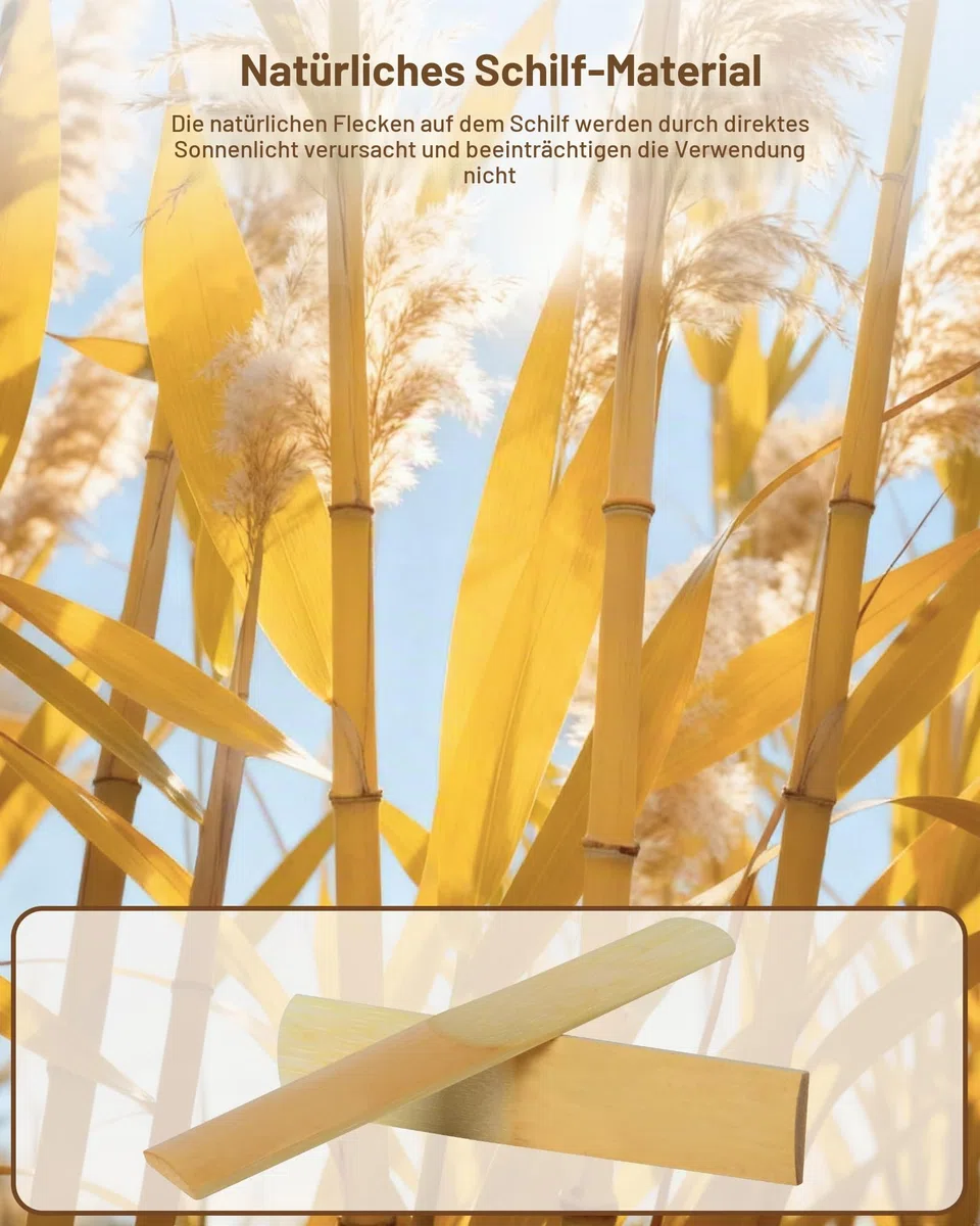 New Bee Bb Klarinettenblätter 10Pack Einzeln Verpackt mit Feuchtigkeitsschutzbeutel Blätteretui Blätter für Bb-Klarinette für Klarinettenanfänger, Pädagogen und Spieler (Stärke 2.5)